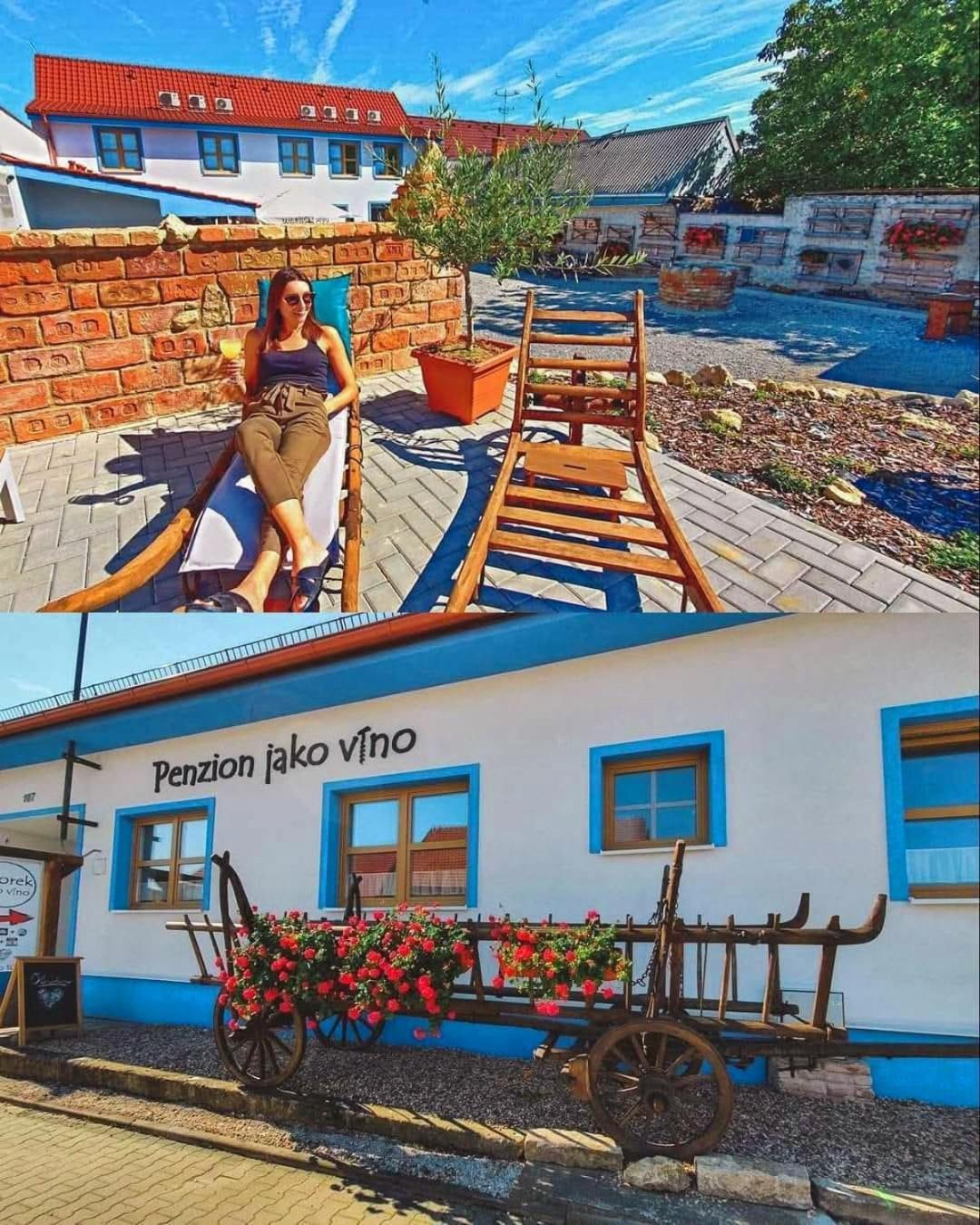 Penzion jako víno Bulhary Exteriér fotografie
